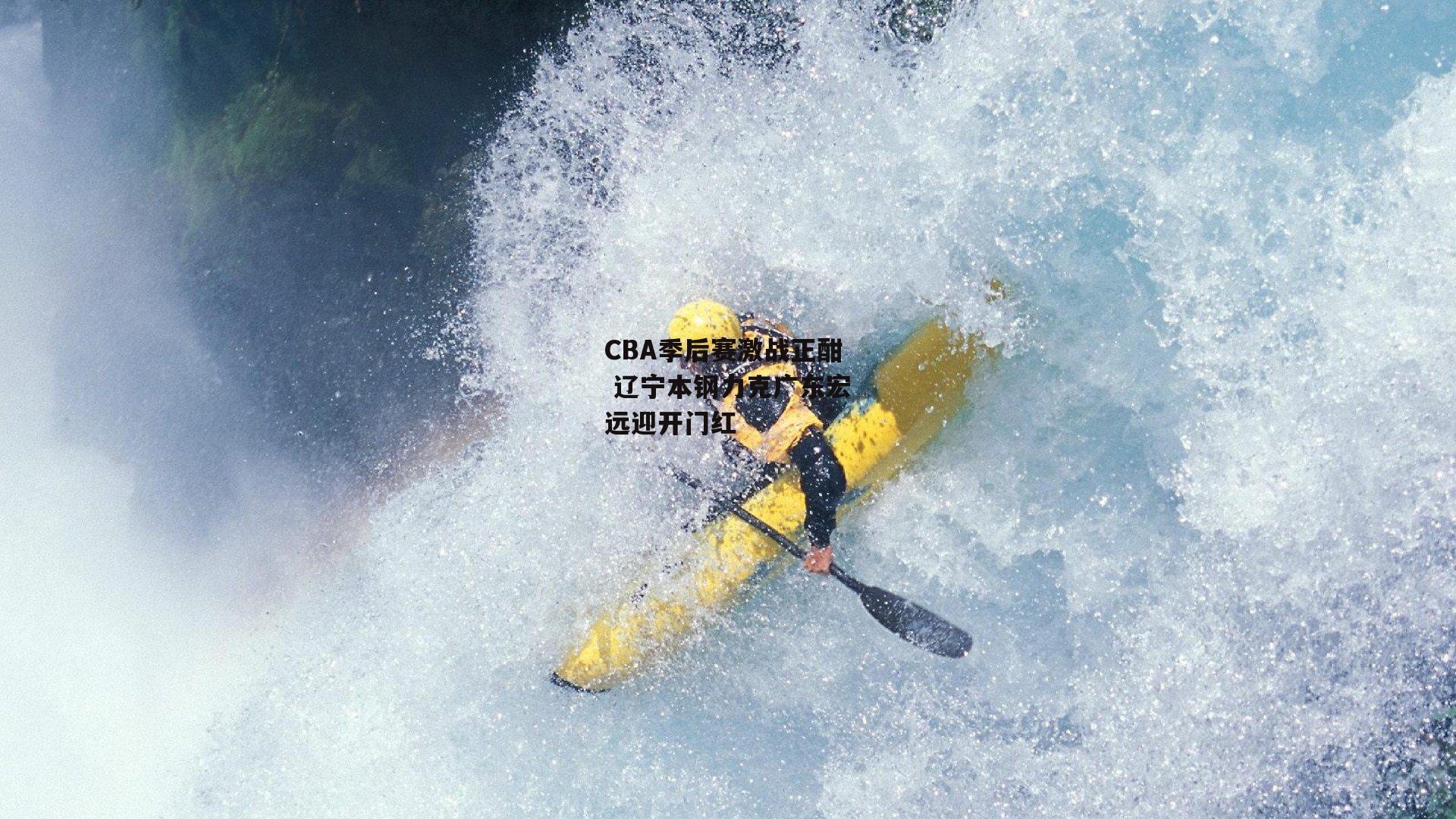 CBA季后赛激战正酣 辽宁本钢力克广东宏远迎开门红