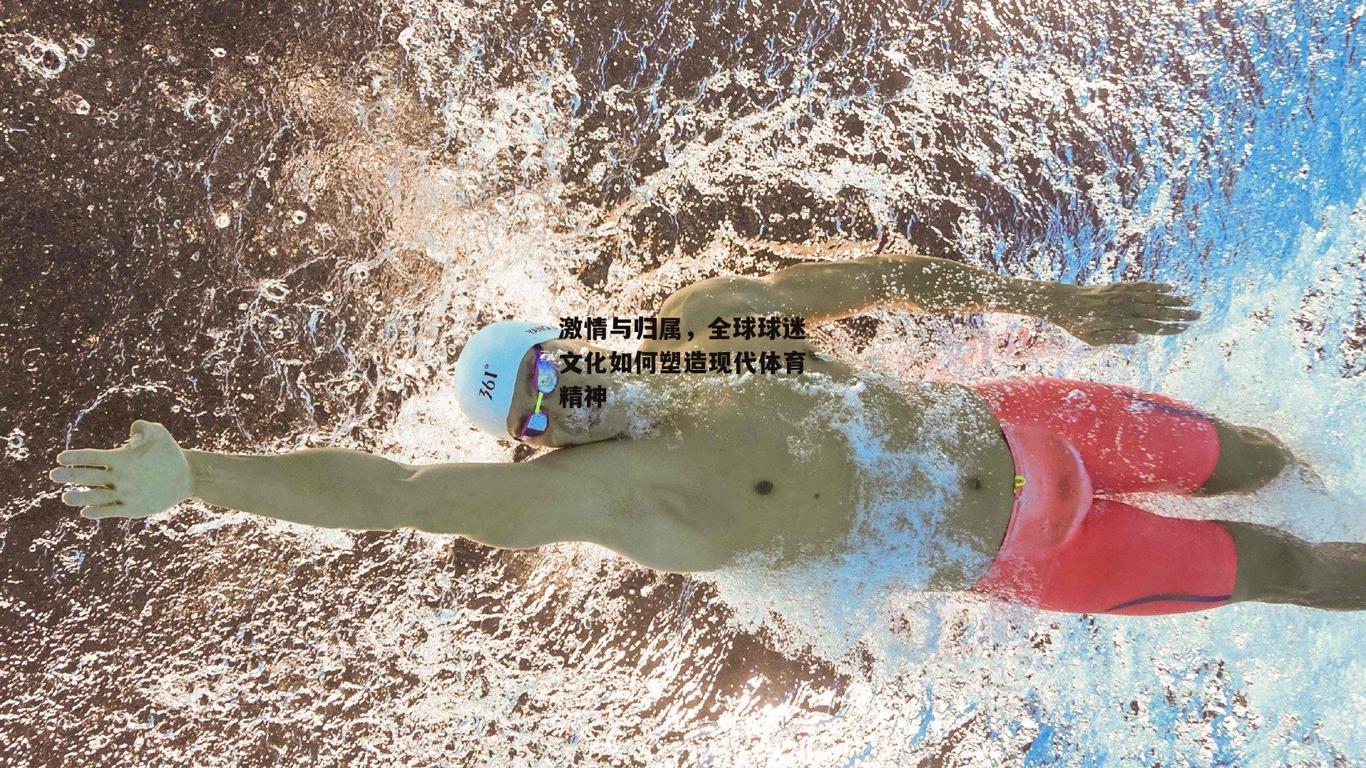 激情与归属，全球球迷文化如何塑造现代体育精神